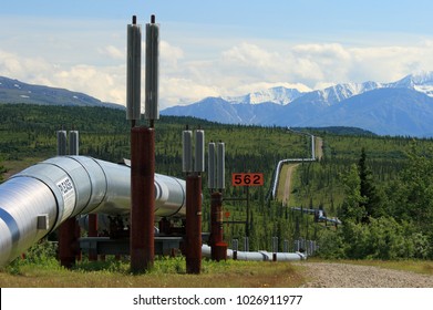 transalaska-pipeline-taiga-260nw-1026911977.jpg