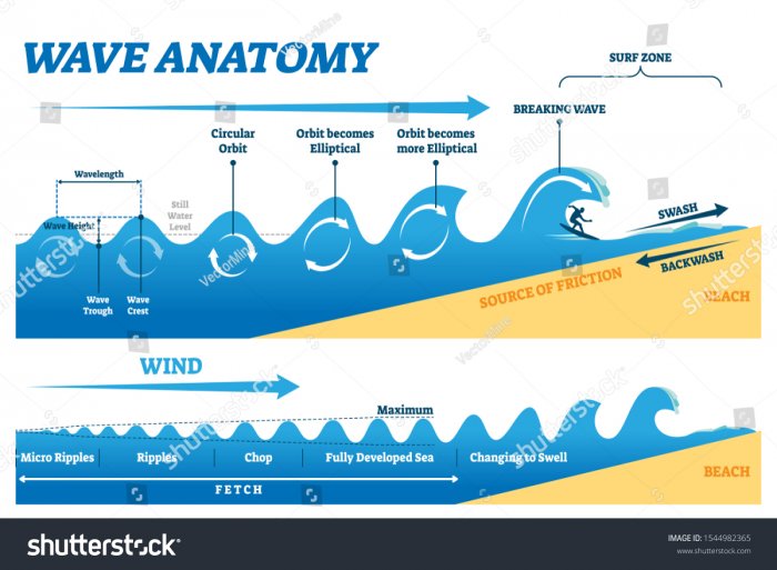 wave-anatomy.jpg