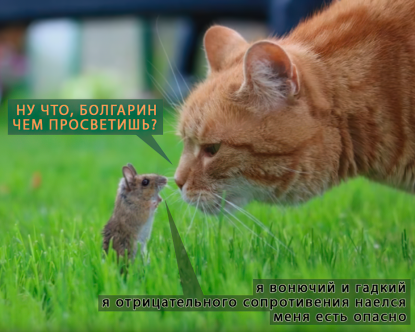 Мышь и Кот-gigapixel.png